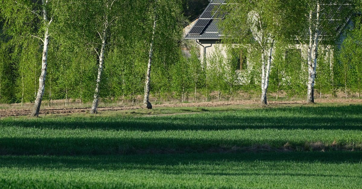 Solaranlage Hermannstein – Photovoltaikanlage auf Hausdach